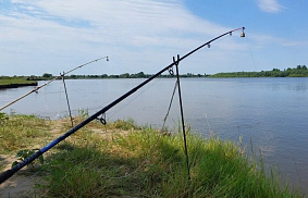 Что нужно знать рыболовам о сезонности рыбалки